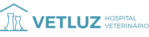 Vetluz